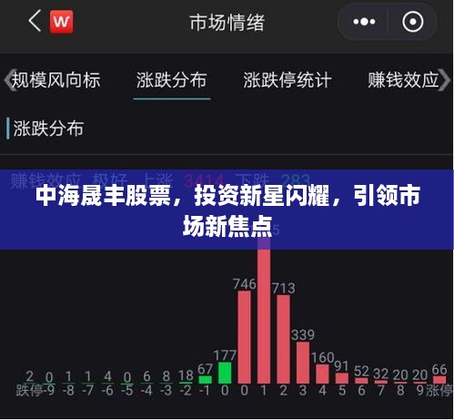中海晟丰股票，投资新星闪耀，引领市场新焦点