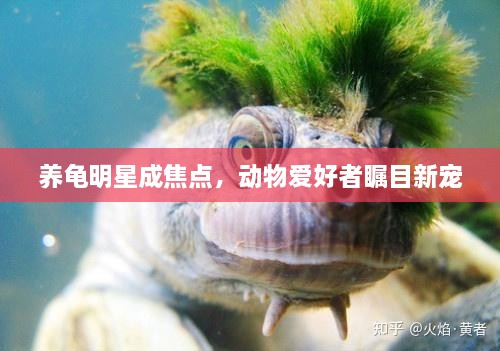 2025年1月 第366页