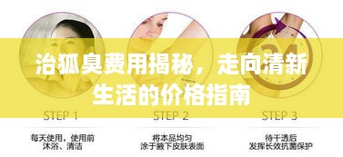 2025年1月 第347页