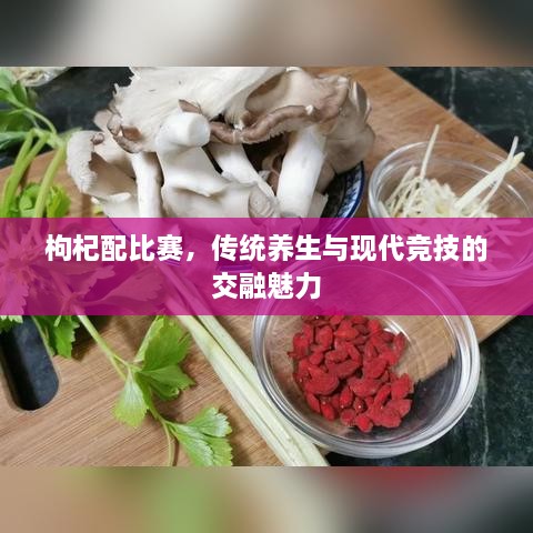 枸杞配比赛，传统养生与现代竞技的交融魅力