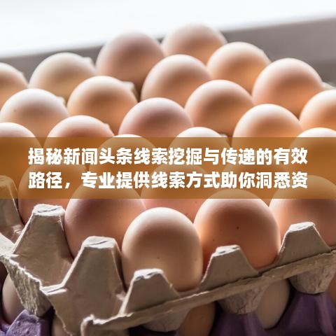 揭秘新闻头条线索挖掘与传递的有效路径，专业提供线索方式助你洞悉资讯动态