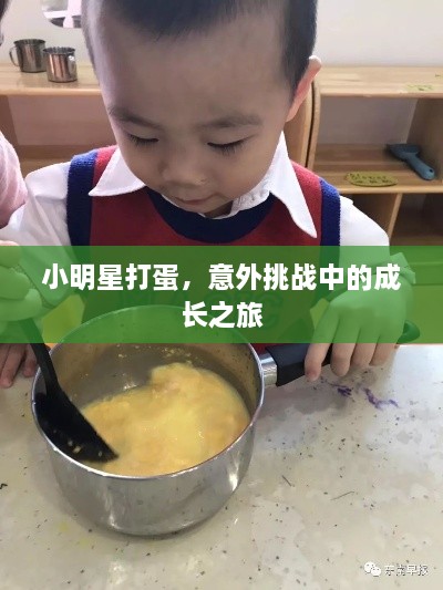 小明星打蛋，意外挑战中的成长之旅