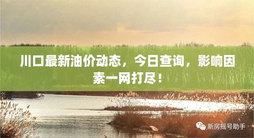 川口最新油价动态，今日查询，影响因素一网打尽！