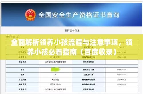 全面解析领养小孩流程与注意事项，领养小孩必看指南（百度收录）