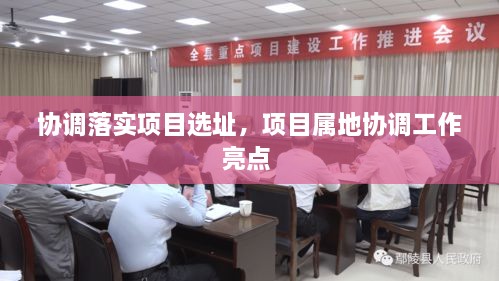 协调落实项目选址，项目属地协调工作亮点 