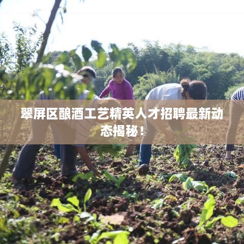 翠屏区酿酒工艺精英人才招聘最新动态揭秘！