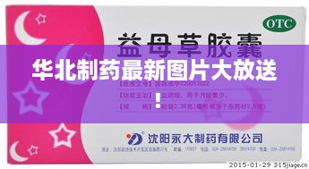 华北制药最新图片大放送！