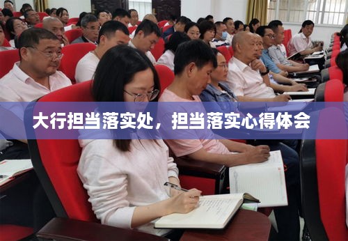 大行担当落实处，担当落实心得体会 