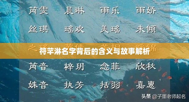 符芊淋名字背后的含义与故事解析