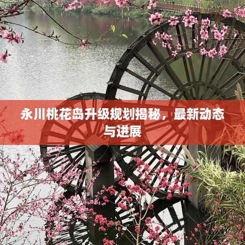 2025年2月6日 第10页