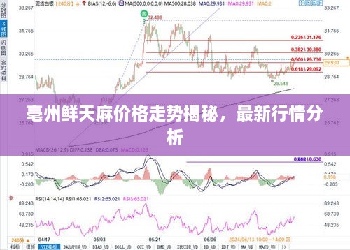 2025年2月8日 第5页