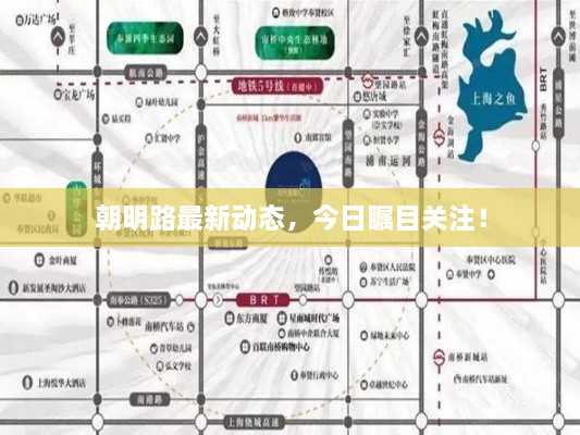 朝明路最新动态，今日瞩目关注！