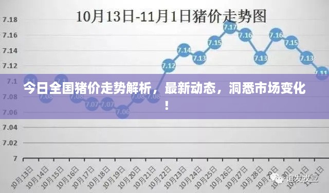 今日全国猪价走势解析，最新动态，洞悉市场变化！