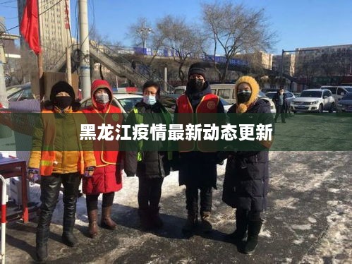 黑龙江疫情最新动态更新