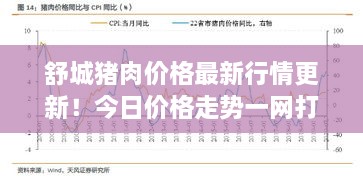 舒城猪肉价格最新行情更新！今日价格走势一网打尽
