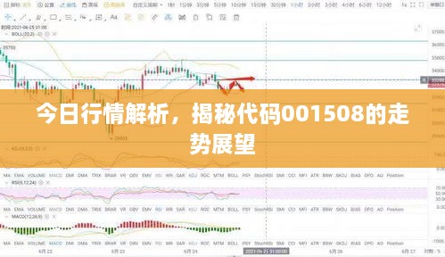 今日行情解析，揭秘代码001508的走势展望