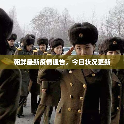 囊萤映雪