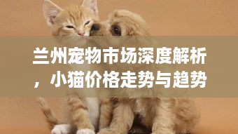 兰州宠物市场深度解析，小猫价格走势与趋势探寻