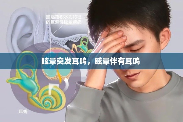飞檐走壁 第2页