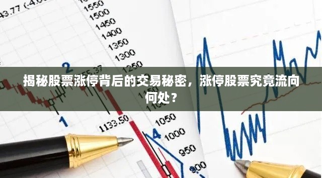 揭秘股票涨停背后的交易秘密，涨停股票究竟流向何处？