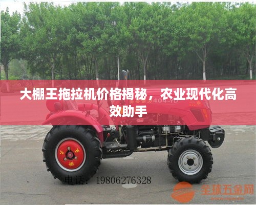 大棚王拖拉机价格揭秘，农业现代化高效助手