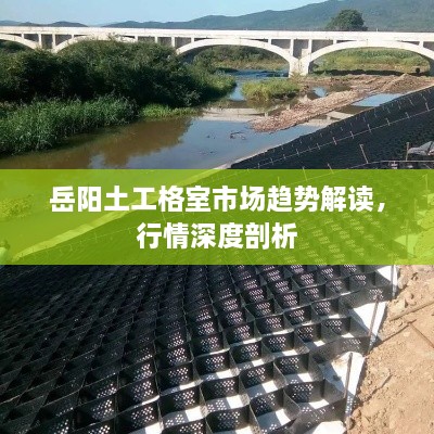 走马观花 第2页