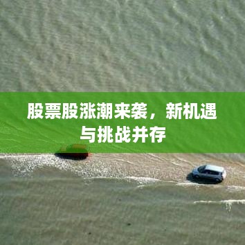 还淳反素 第2页
