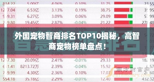 外国宠物智商排名TOP10揭秘，高智商宠物榜单盘点！