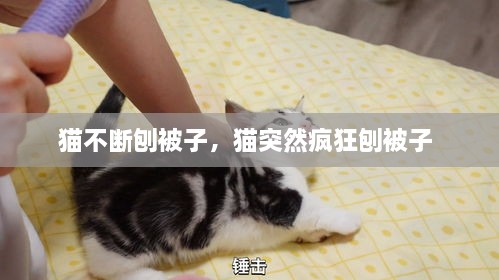 半截鸟木 第2页