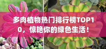 节衣缩食 第2页
