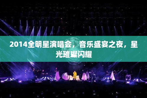 2014全明星演唱会，音乐盛宴之夜，星光璀璨闪耀