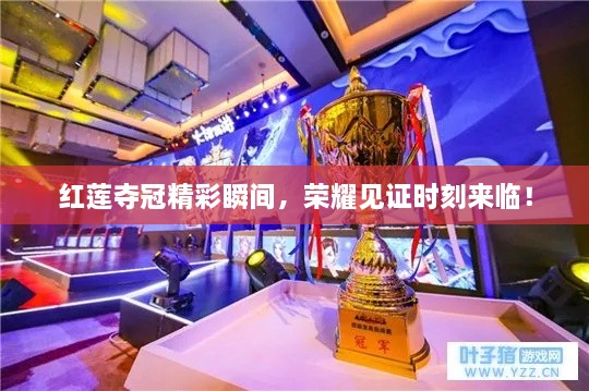 红莲夺冠精彩瞬间，荣耀见证时刻来临！