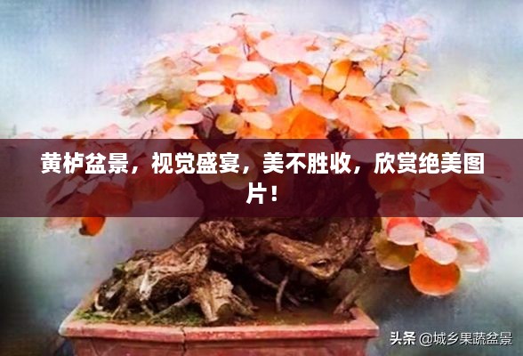 草长莺飞 第2页