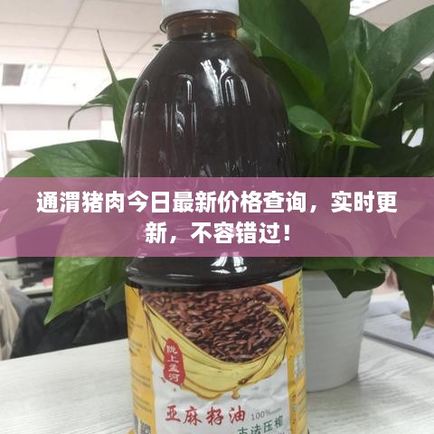 通渭猪肉今日最新价格查询，实时更新，不容错过！