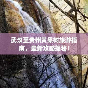 武汉至贵州黄果树旅游指南，最新攻略揭秘！