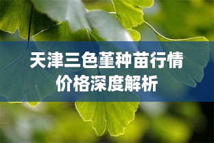 天津三色堇种苗行情价格深度解析
