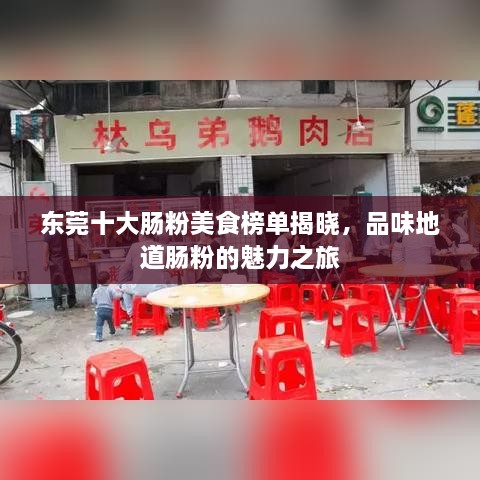 东莞十大肠粉美食榜单揭晓，品味地道肠粉的魅力之旅