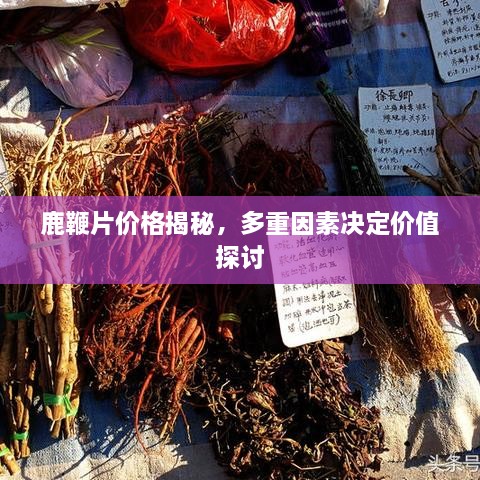 鹿鞭片价格揭秘，多重因素决定价值探讨