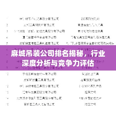 麻城吊装公司排名揭秘，行业深度分析与竞争力评估