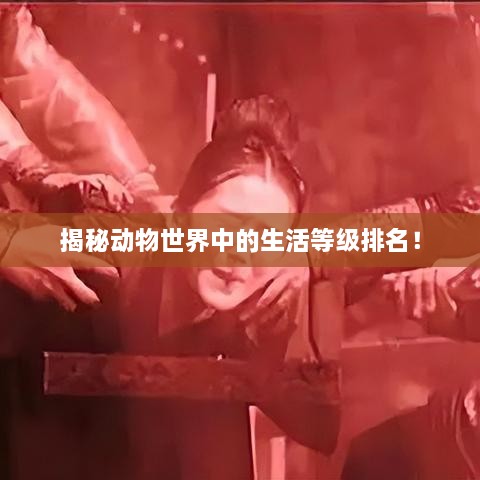 揭秘动物世界中的生活等级排名！