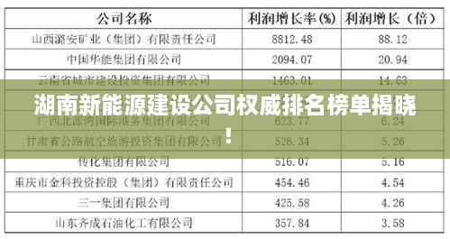 湖南新能源建设公司权威排名榜单揭晓！