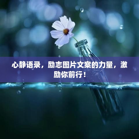 解决方案 第37页