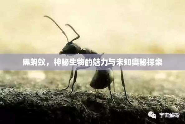 产品展示 第34页