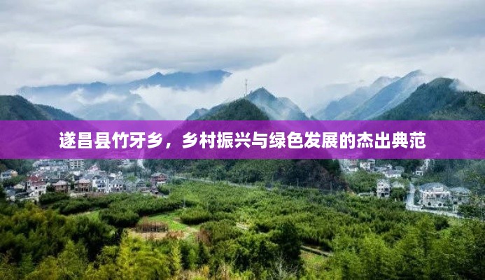 遂昌县竹牙乡，乡村振兴与绿色发展的杰出典范