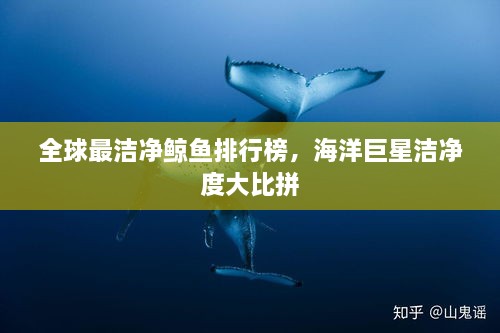全球最洁净鲸鱼排行榜，海洋巨星洁净度大比拼