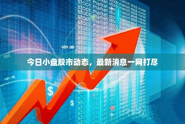 今日小盘股市动态，最新消息一网打尽