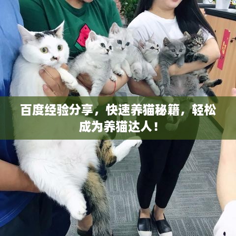 百度经验分享，快速养猫秘籍，轻松成为养猫达人！