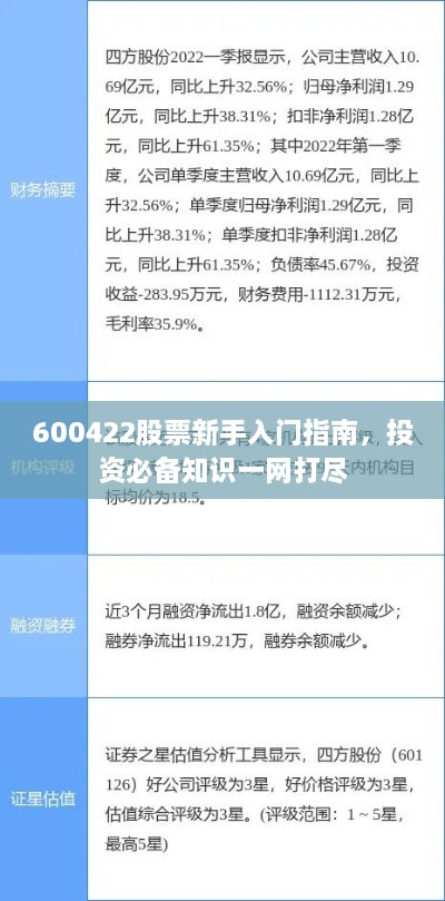600422股票新手入门指南，投资必备知识一网打尽