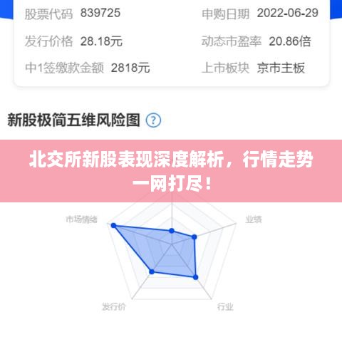 北交所新股表现深度解析，行情走势一网打尽！